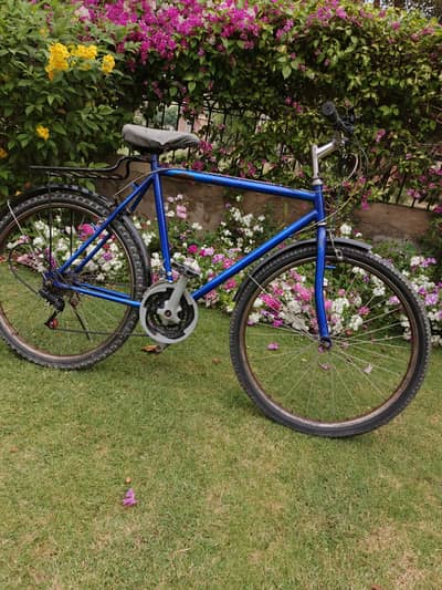 Hybrid Gear Bicycle 26