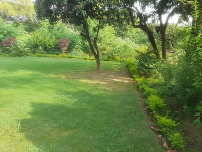 G9 30*50 Cda Transfer Renovated Corner With Huge Extra Land