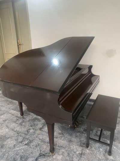 Grand Piano / Musical Instrument / Piano Bench / Keyboard