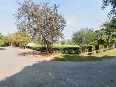 1-kanal Best Location For Builders Near Park Mosque Market Plot For Sale