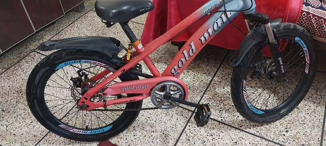 Bicycle in Perfect Condition Brand Gold Man, just a little used