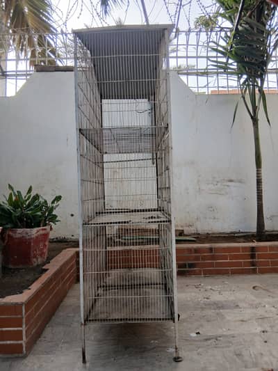 birds cage