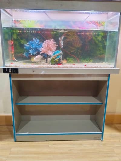 aquarium in A1 condition  with fishes pump,colour lights