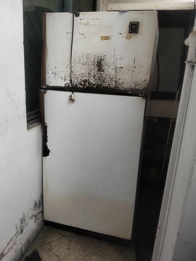 general electric full size fridge