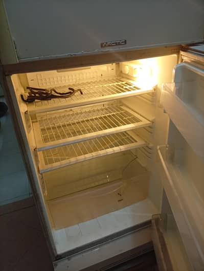 Artic Refrigerator/Fridge