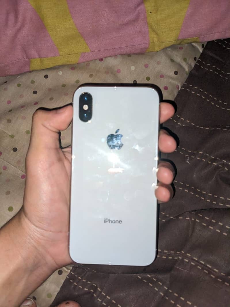 Bubul iPhone X 1