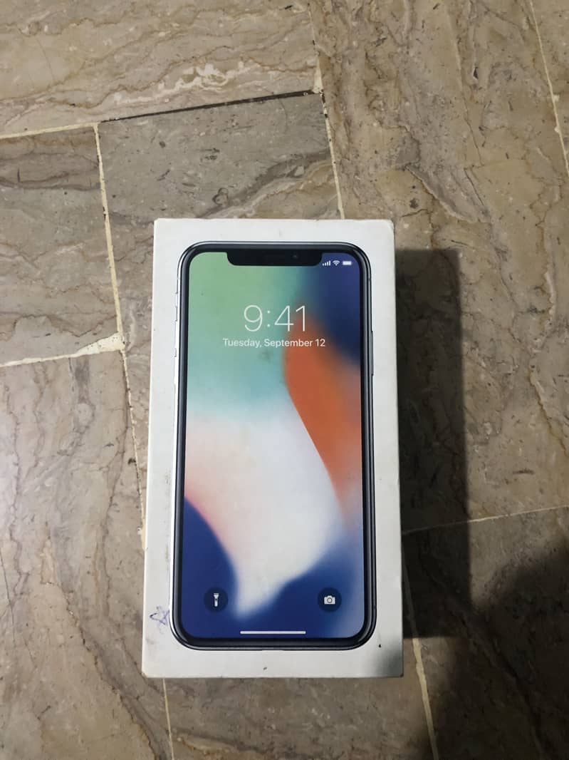Bubul iPhone X 5