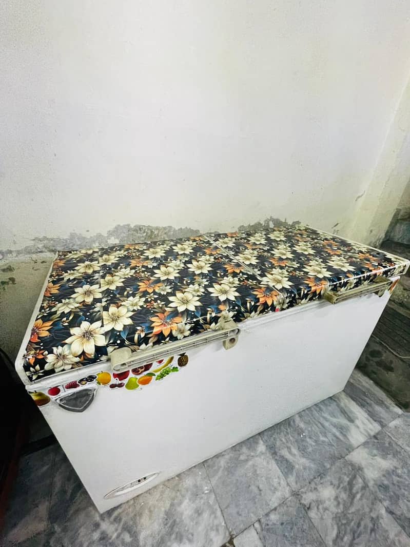 waves deep freezer 4