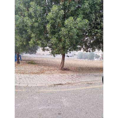 1 KANAL PLOT FOR SALE IN NISHTER BLOCK