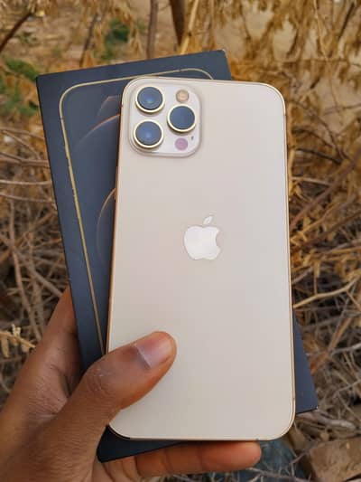 iPhone 12 Pro Max 256gb gold non pta excellent condition