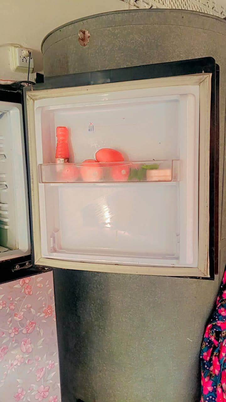 fridge 3