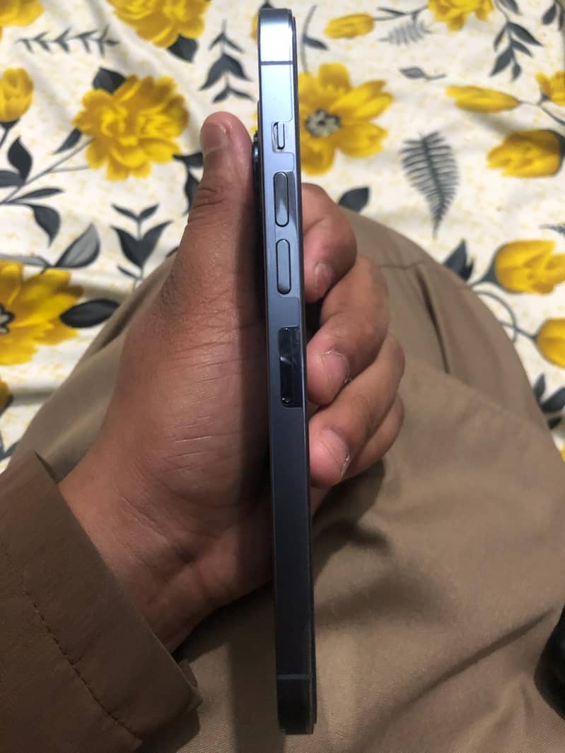 Iphone 13 Pro max 1