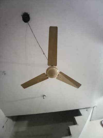 ceiling fan