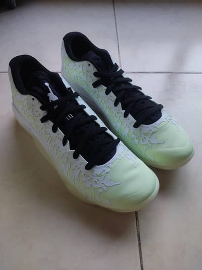 Nike Air Jordan Zion 3 (No Guts)