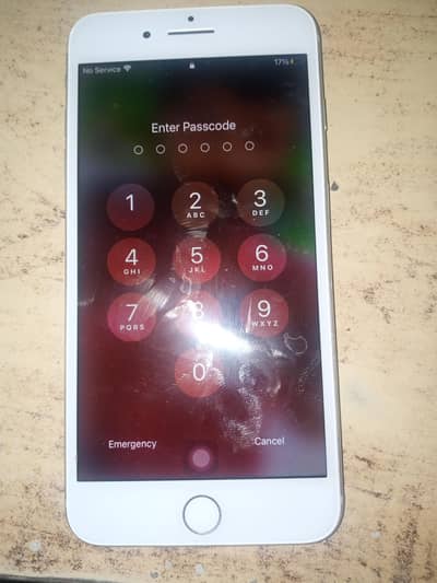 Mic, fingerprint not work