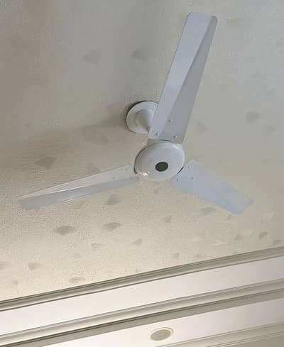 GFC CEILING FAN FOR SALE