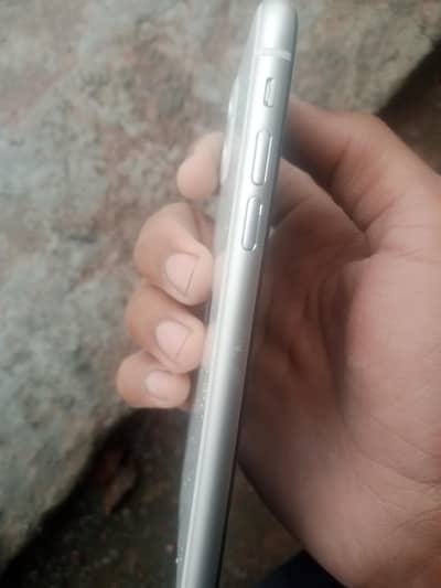 iphone 11(Totally Genion)