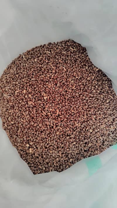 Premium Chopped Dry Dates & Date Pits for Sale | Bulk Supply Available