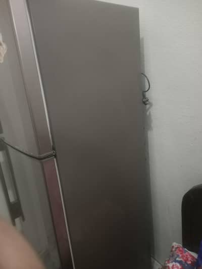 best frigh 16 kv freig