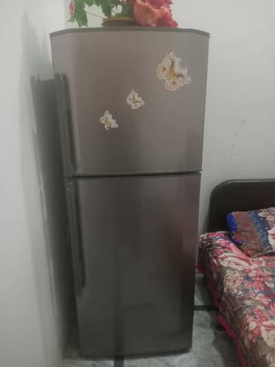 haeir freigh in large size