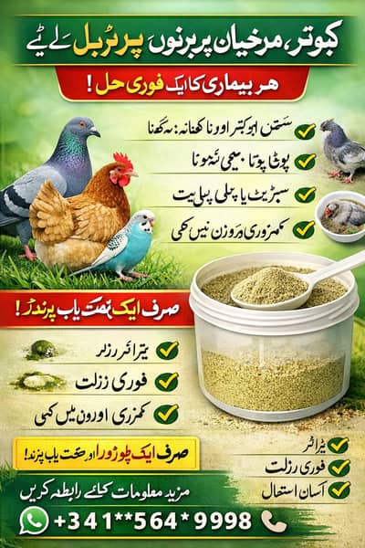 Kabootar Health Powder | Kamzori, Green Potta, Recovery