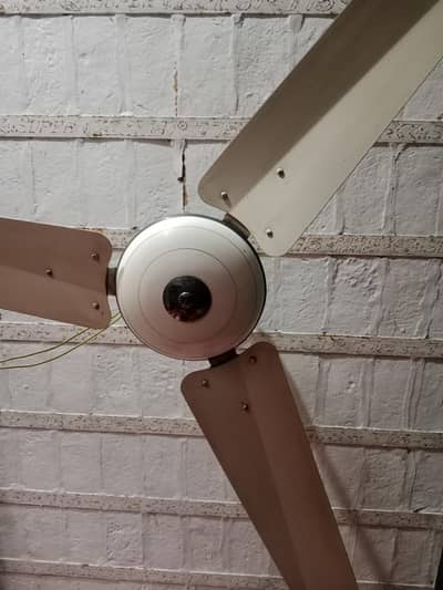 سٹار کو کمپنی کا پنکھا ہے بالکل صاف کاپر وینڈنگ میں 220