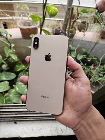 Xsmax Pta approved dual