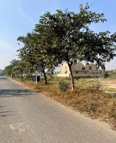 Pair of 1 Kanal Total 2 Kanal Top Location Plot No-649 & 650 Block Q Phase 7 DHA Lahore For Urgent Sale