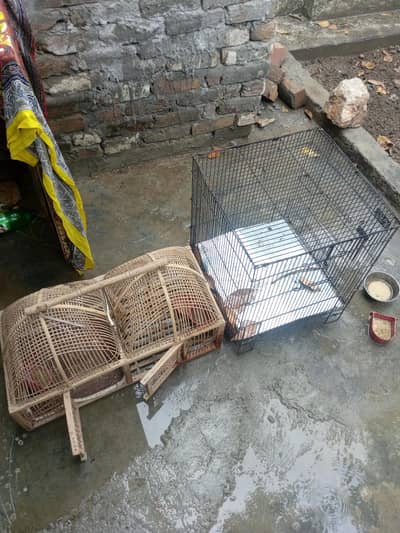 2 Mazboot Pinjray For Birds – Good Condition