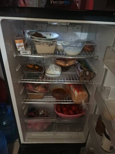 Fridge Refrigerator Pel