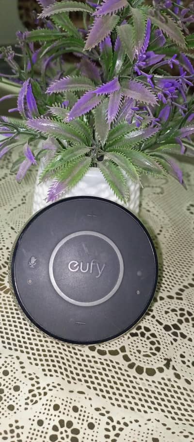 gufy Gemini original 