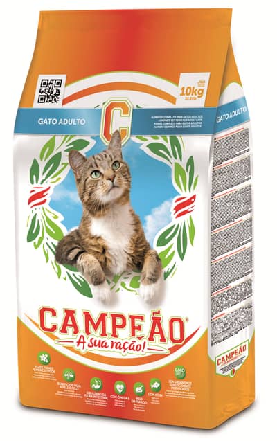 Adult Cat by Campeao