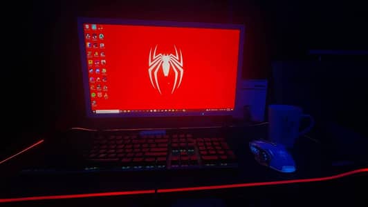 Gaming Monitor 60 hz 23 inch | Eizo Flexscan | Slightly Negotiable