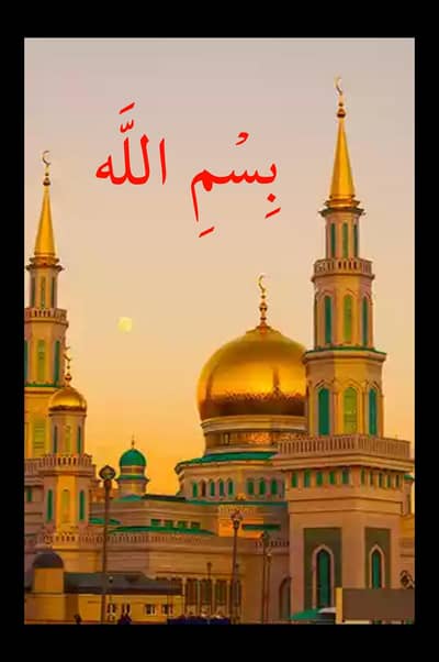 I need job mandi bhaulddin City koi b Kam chly ga