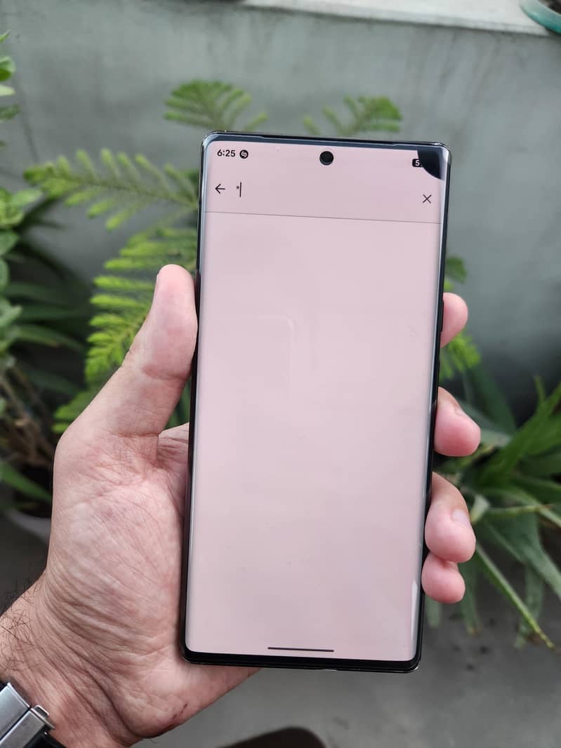 Google Pixel 6 Pro 2