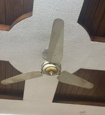 GFC celling fan