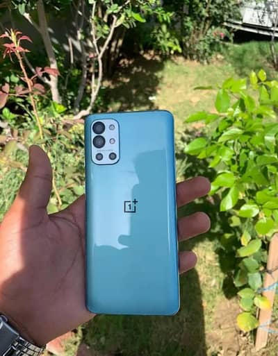 OnePlus 9R  | 256/16 | Dual Sim Global