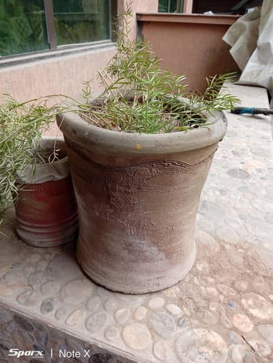 plants pots for sale