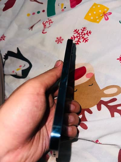 Iphone 12 pro (512gb)