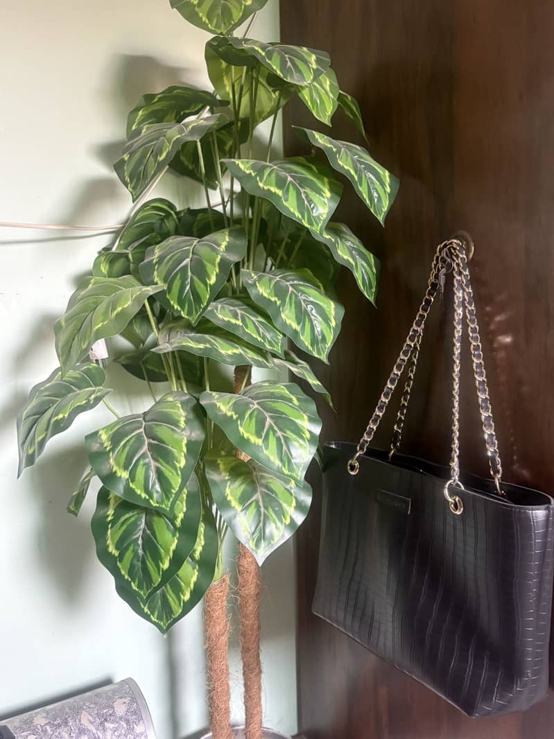 Tote bag 0