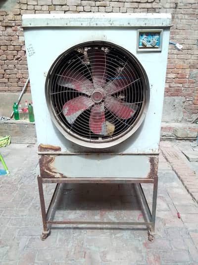 lahori full saiz colar