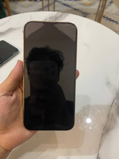 Iphone 13 pro max JV