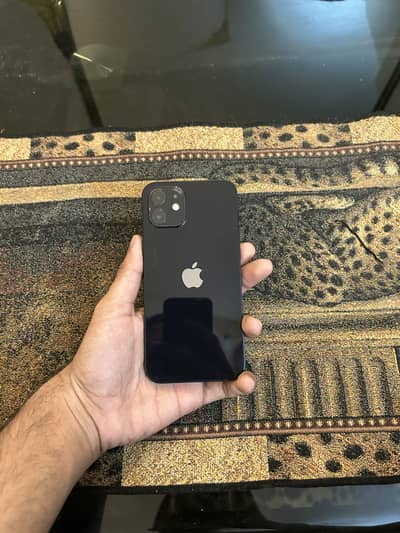 iPhone 12 Factory Unlock