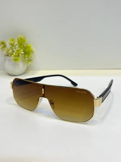 POLHAM Sunglasses