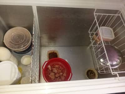 waves invertor freezer