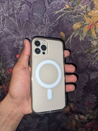 iPhone 12 Pro FU 256GB Golden Colour