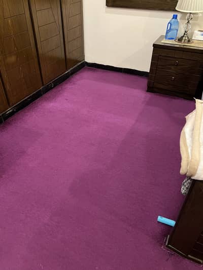 Purple Carpet for Sale (15x11 foot)