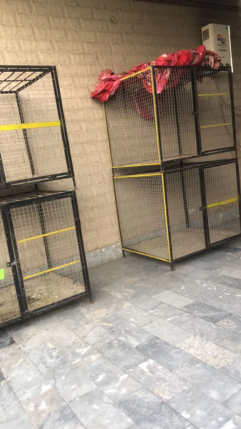 Animal cage for sale one piece rate — photo 2
