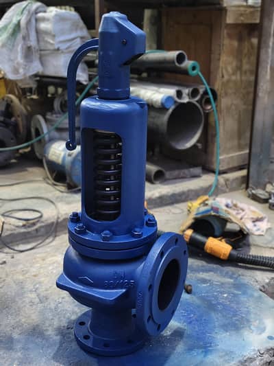 Safety Valve Ari 3" DN80