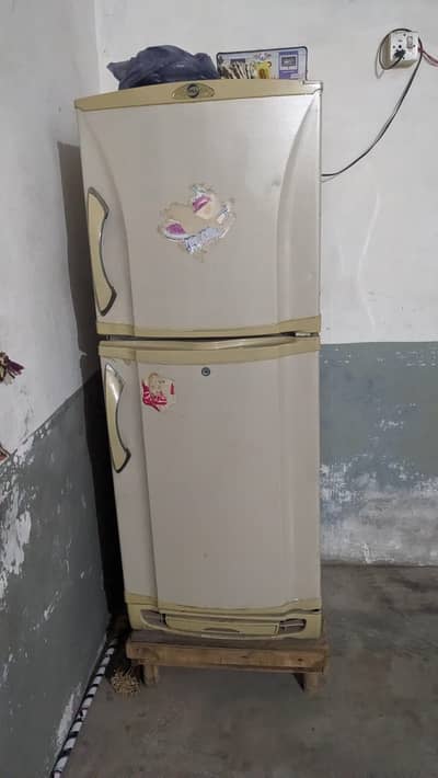 Pel fridge for sale